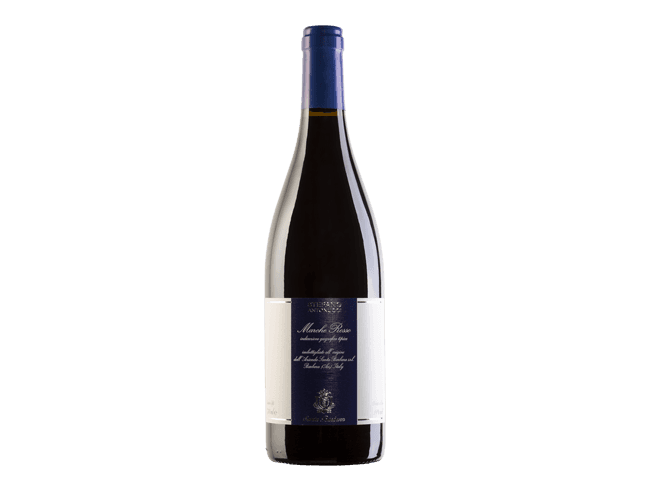 Santa Barbara - Marche Rosso IGT '23