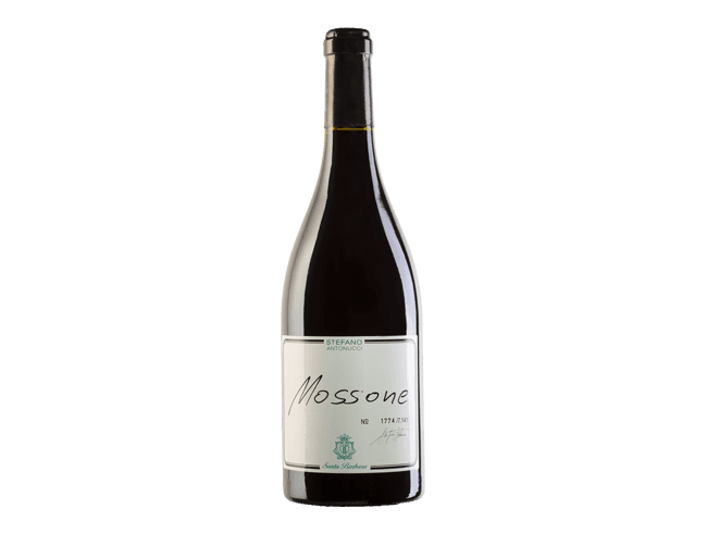 Santa Barbara Mossone Marche Merlot IGT '22